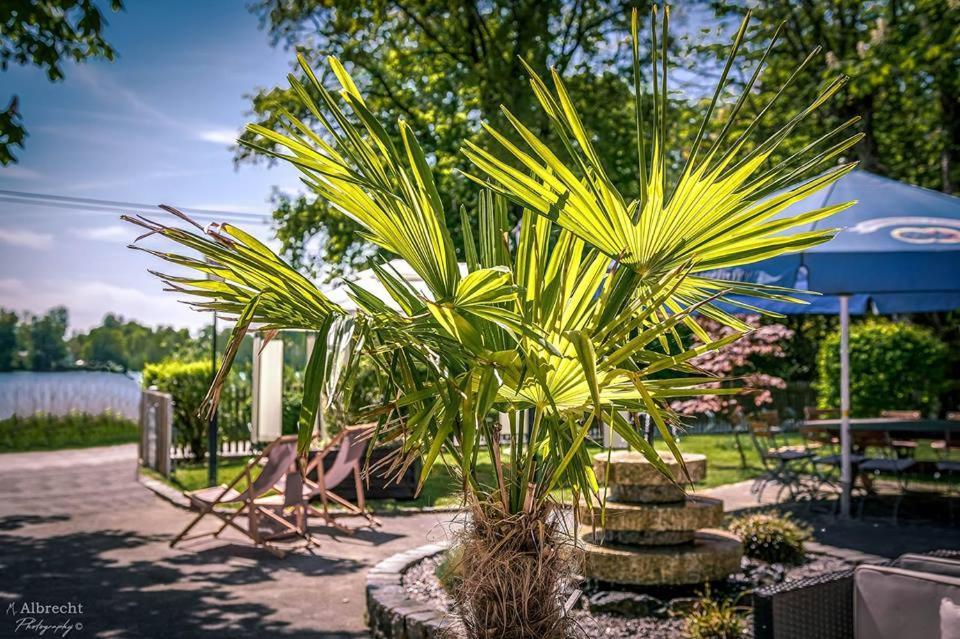 Sopherl Am See - Fruehstueck Auf Der Seeterrasse, Sehr Ruhig Und Wunderschoen Am See, 3 Minuten Nach Oberpfaffenhofen, Viele Radtouren, Restaurants & Cafes In Der Umgebung Weßling Exterior foto